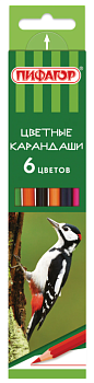 Карандаши цветные  6цв ПИФАГОР "Лесные жители", шестигр. /24/