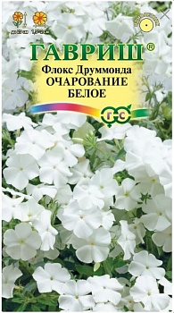 Флокс Очарование друммонда белое 0,05г цв/п /10/ГАВРИШ