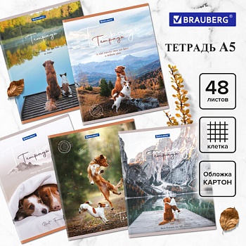 Тетрадь 48л клетка BRAUBERG "Best Friends" (микс в спайке) обложка картон, Белизна 100% /10/