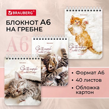 Блокнот А6 40л кл. гребень BRAUBERG, "Милые котята", 114391 /24/