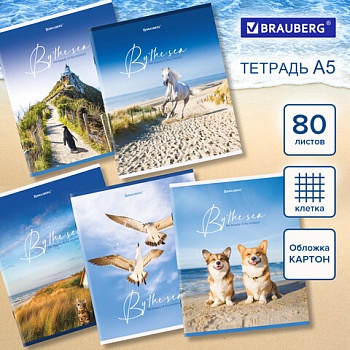 Тетрадь 80л клетка BRAUBERG "By the Sea" (Белизна 100%) /14/